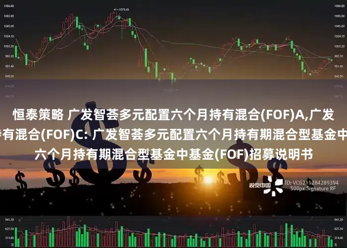 恒泰策略 广发智荟多元配置六个月持有混合(FOF)A,广发智荟多元配置六个月持有混合(FOF)C: 广发智荟多元配置六个月持有期混合型基金中基金(FOF)招募说明书