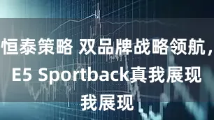 恒泰策略 双品牌战略领航，E5 Sportback真我展现